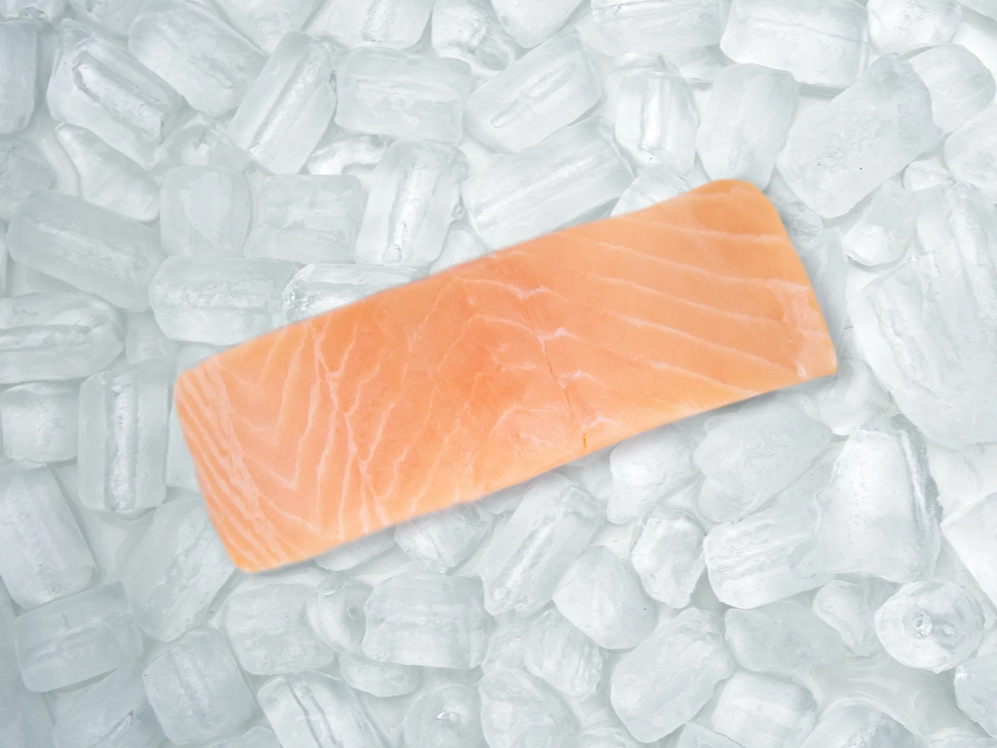 salmão fresco sobre gelo